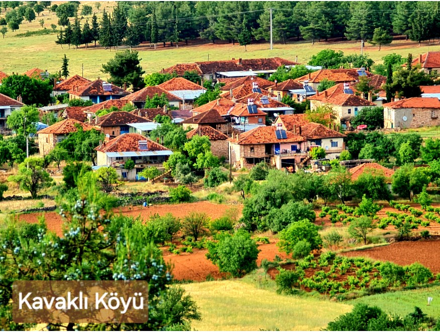 Uşak Karahallı Kavaklı Köyü İçinde 1.501 m2 Bakımlı Harika Ceviz ve Meyve Bahçesi. İlan Açıklamasını Okuyarak Arayınız.