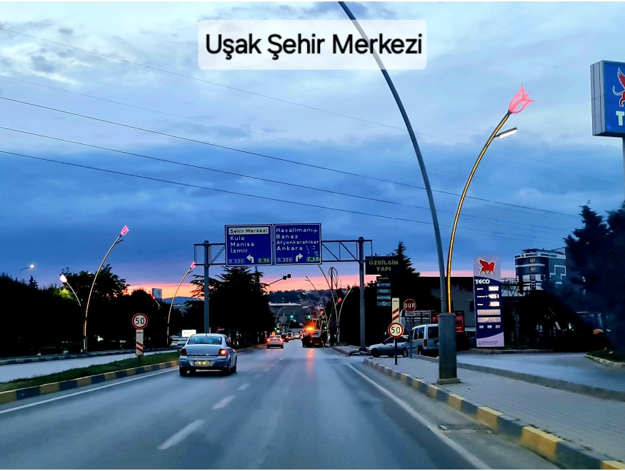 Uşak Karahallı Kavaklı Köyü İçinde 1.501 m2 Bakımlı Harika Ceviz ve Meyve Bahçesi. İlan Açıklamasını Okuyarak Arayınız.