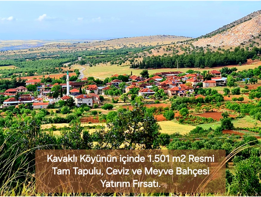 Uşak Karahallı Kavaklı Köyü İçinde 1.501 m2 Bakımlı Harika Ceviz ve Meyve Bahçesi. İlan Açıklamasını Okuyarak Arayınız.