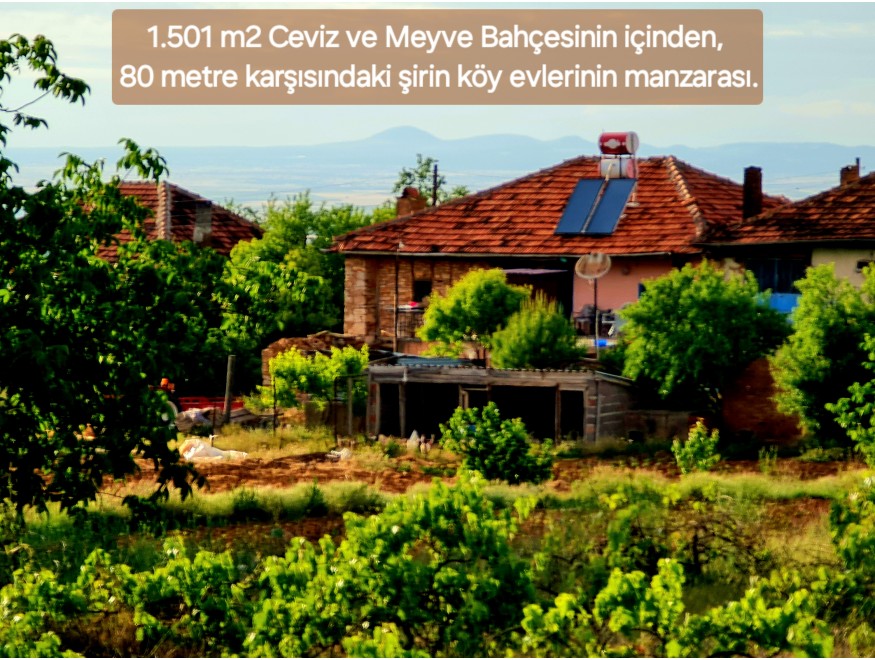 Uşak Karahallı Kavaklı Köyü İçinde 1.501 m2 Bakımlı Harika Ceviz ve Meyve Bahçesi. İlan Açıklamasını Okuyarak Arayınız.