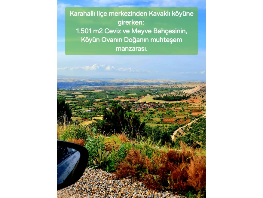 Uşak Karahallı Kavaklı Köyü İçinde 1.501 m2 Bakımlı Harika Ceviz ve Meyve Bahçesi. İlan Açıklamasını Okuyarak Arayınız.