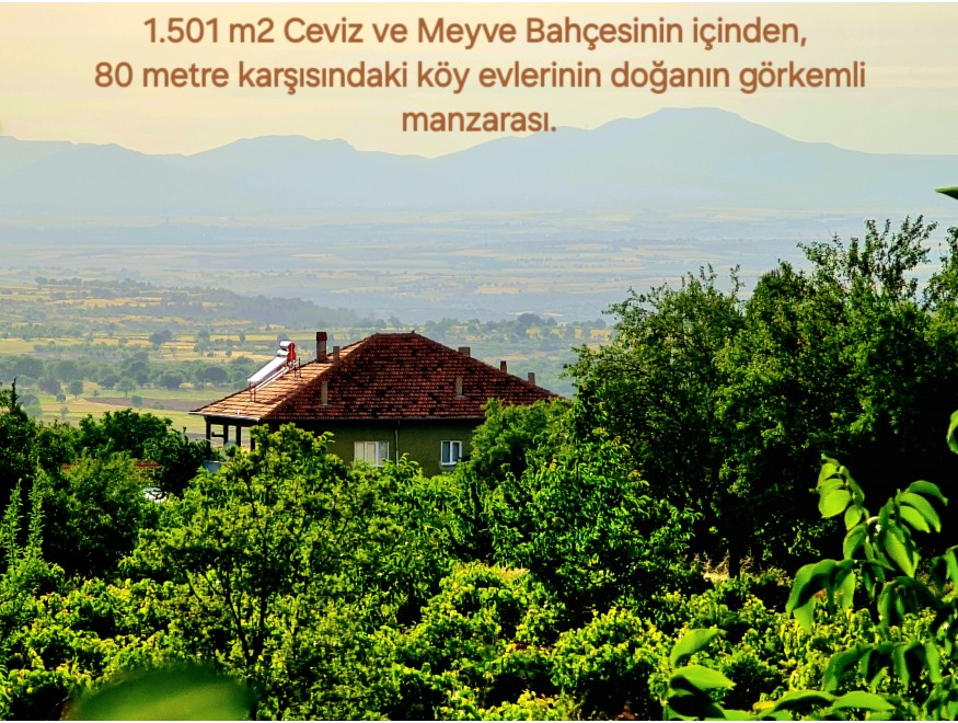 Uşak Karahallı Kavaklı Köyü İçinde 1.501 m2 Bakımlı Harika Ceviz ve Meyve Bahçesi. İlan Açıklamasını Okuyarak Arayınız.