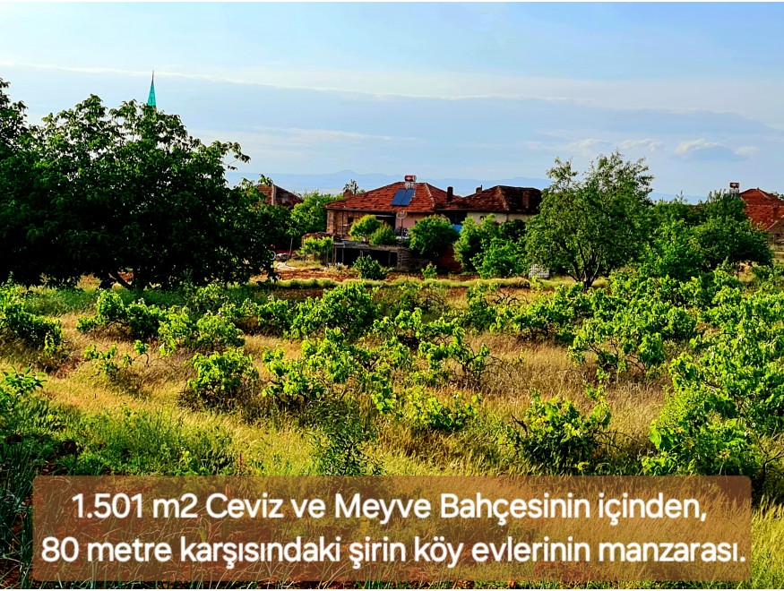 Uşak Karahallı Kavaklı Köyü İçinde 1.501 m2 Bakımlı Harika Ceviz ve Meyve Bahçesi. İlan Açıklamasını Okuyarak Arayınız.