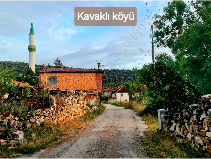 Uşak Karahallı Kavaklı Köyü İçinde 1.501 m2 Bakımlı Harika Ceviz ve Meyve Bahçesi. İlan Açıklamasını Okuyarak Arayınız.