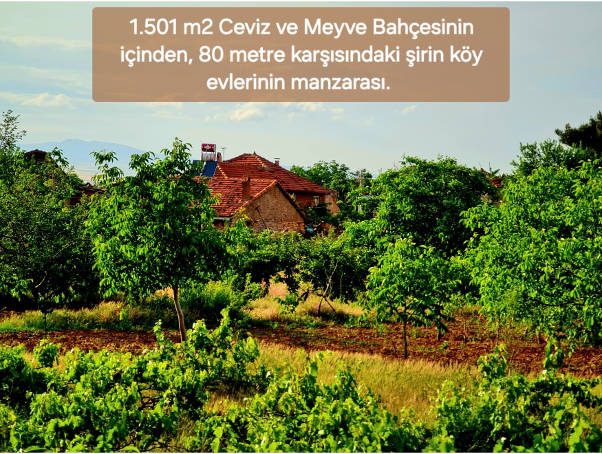 Uşak Karahallı Kavaklı Köyü İçinde 1.501 m2 Bakımlı Harika Ceviz ve Meyve Bahçesi. İlan Açıklamasını Okuyarak Arayınız.