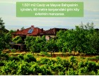 Uşak Karahallı Kavaklı Köyü İçinde 1.501 m2 Bakımlı Harika Ceviz ve Meyve Bahçesi. İlan Açıklamasını Okuyarak Arayınız.