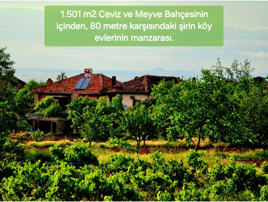 Uşak Karahallı Kavaklı Köyü İçinde 1.501 m2 Bakımlı Harika Ceviz ve Meyve Bahçesi. İlan Açıklamasını Okuyarak Arayınız.