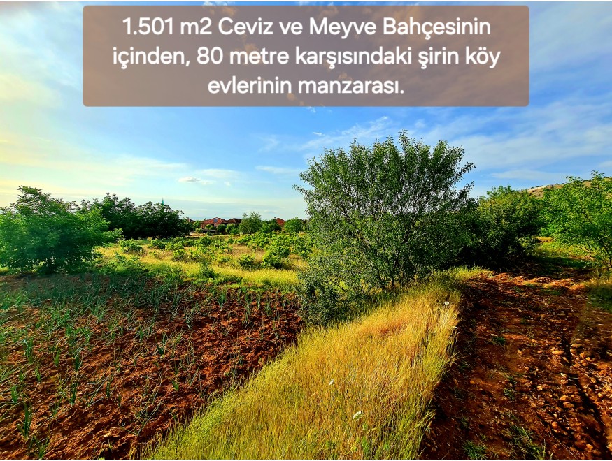 Uşak Karahallı Kavaklı Köyü İçinde 1.501 m2 Bakımlı Harika Ceviz ve Meyve Bahçesi. İlan Açıklamasını Okuyarak Arayınız.