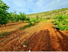 Uşak Karahallı Kavaklı Köyü İçinde 1.501 m2 Bakımlı Harika Ceviz ve Meyve Bahçesi. İlan Açıklamasını Okuyarak Arayınız.