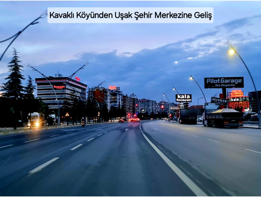 Uşak Karahallı Kavaklı Köyü İçinde 1.501 m2 Bakımlı Harika Ceviz ve Meyve Bahçesi. İlan Açıklamasını Okuyarak Arayınız.