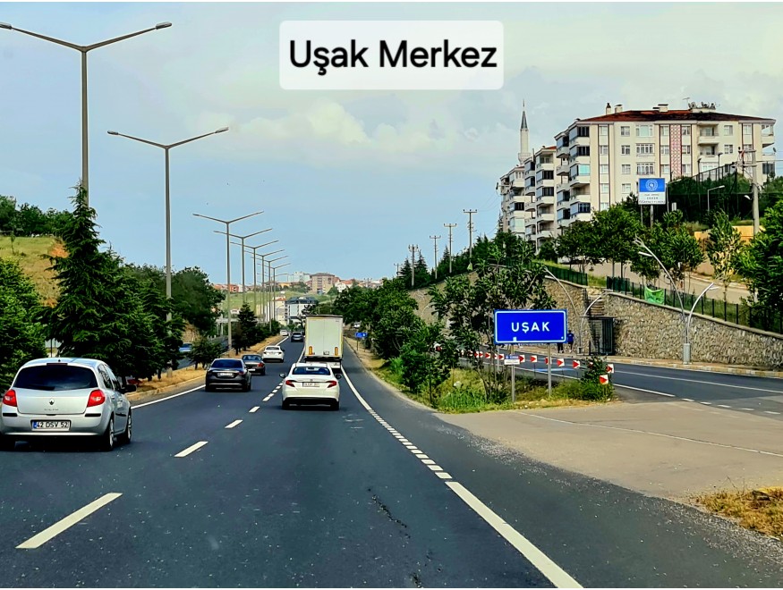 Uşak Karahallı Kavaklı Köyü İçinde 1.501 m2 Bakımlı Harika Ceviz ve Meyve Bahçesi. İlan Açıklamasını Okuyarak Arayınız.